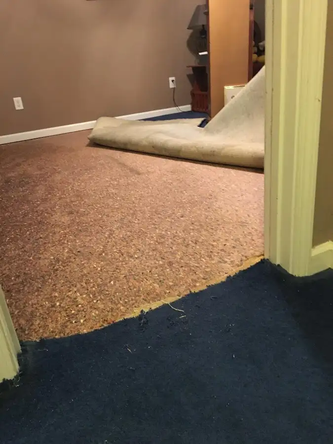 Carpet pad removal revealing water damage during Water Mitigation Services in Big Stone Gap