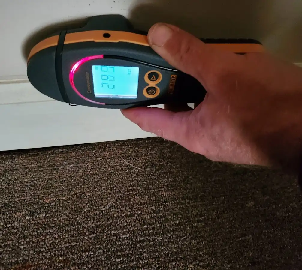 Moisture detection at baseboard during Mold Inspection & Testing in Big Stone Gap